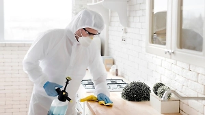 Россиянам назвали два эффективных метода борьбы с тараканами