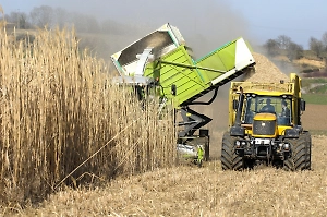 Украинский беспилотник убил тракториста и серьёзно ранил его жену в поле под Белгородом