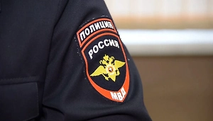 В МВД назвали число лишившихся российского гражданства из-за преступлений