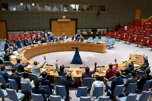 Страны Запада заблокировали проект заявления СБ ООН с осуждением убийства Хании