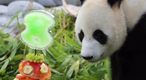 Отец Катюши с задором разгромил подарки на день рождения