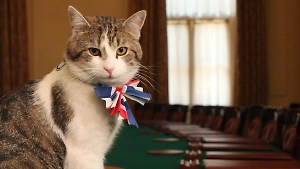 Главный мышелов с Даунинг-стрит на прощание оставил "подарок" в ботинке Сунака