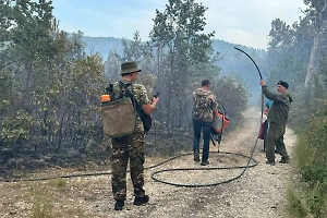 Мэр Геленджика показал видео крупного лесного пожара в хуторе Джанхот