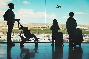 Милонов предложил создать специальный авиатариф для отдыха многодетных семей