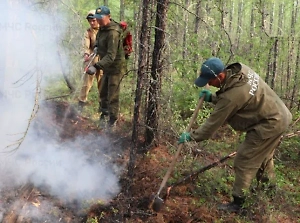В Якутии действует 84 природных пожара, задымлённость охватила 33 посёлка