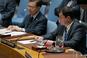 Полянский раскритиковал действия СБ ООН по Газе