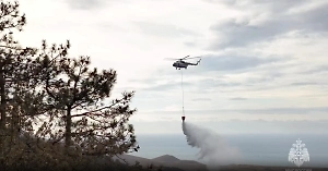 Охвативший 150 гектаров пожар в Крыму смогли остановить