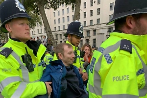 За два дня лондонского карнавала ранения получили восемь человек