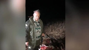 Первый комментарий Рашкина об инциденте с лосем