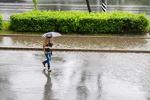 В Омской области ввели режим ЧС из-за мощных ливней и отодвинули сбор урожая