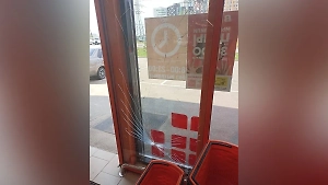 «Харли Квинн» из Химок с битой в руках и демонами в голове устроила погром в ЖК