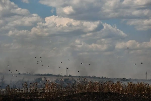 Украинцев готовят к новой беде из Африки: "Расслабляться не имеем права!"