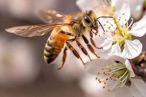 Мужчина чудом выжил после 240 укусов ос 