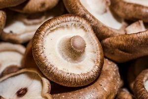 Как нужно есть грибы, чтобы не потолстеть, объяснила диетолог