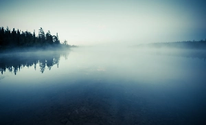Возле озера нашли пакет с отрубленной головой