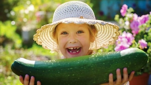 "Царь-овощ": 10 интересных фактов про кабачок, о которых вы 100% не знаете