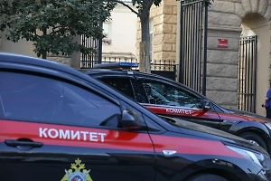 В Саратове деревянная статуя Кот учёный насмерть придавила девочку 