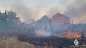 Сильный ветер не позволяет использовать авиацию для тушения пожаров в Ростовской области