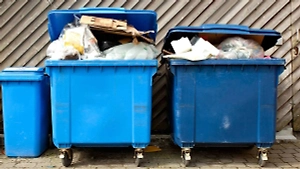 Россиянам объяснили, где можно пожаловаться онлайн на переполненные мусорки у дома