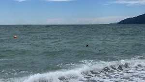 В Абхазии нашли тело утонувшего петербуржца после трёх дней поисков