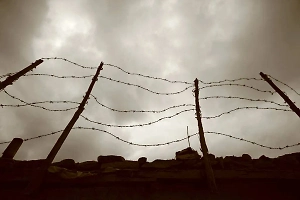 Появились доказательства создания ВСУ концлагерей в Курской области