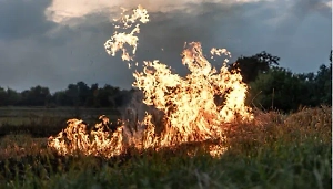 В Ульяновской области пожар с травы перекинулся на десять домов и уничтожил их