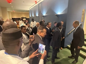 В Ирландии ткнули Запад в длинную очередь к Лаврову в ООН