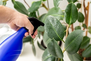 Биолог рассказал, какие пестициды могла добавить в пельмени семья под Красноярском