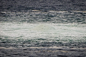 Власти Германии случайно выдали свою причастность к подрыву «Северных потоков»