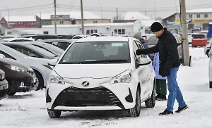 В правительстве предупредили о злоупотреблениях при покупке автомобиля за маткапитал