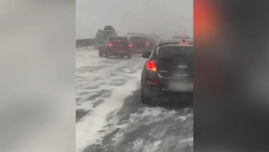 В Тульской области из-за непогоды на трассе столкнулось более 20 машин, пострадало четыре человека