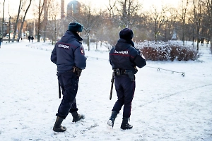 В одном из лесопарков Москвы нашли потерявшегося мальчика