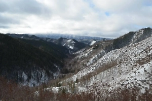 На юге Сахалина произошло землетрясение магнитудой 3,7