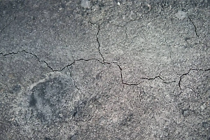 Недалеко от Лос-Анджелеса произошло землетрясение магнитудой 4,1