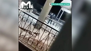 Житель Алтая открыл стрельбу из ружья из-за громкой музыки в баре