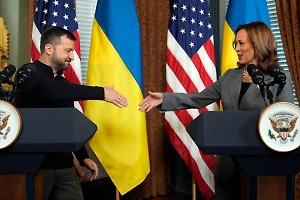 На Западе объяснили провал Харрис на выборах «проклятием Зеленского»