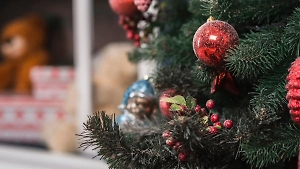 Россиянам объяснили, как не нарваться на ядовитую ель перед Новым годом