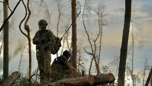 Раскрыто число военных ВСУ, сдавшихся в плен за неделю