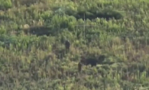 Своих не бросаем: Наши дроноводы одним ударом спасли сослуживца от плена