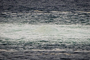 Координатор подрыва «Севпотоков» назвал диверсию благословением для Германии