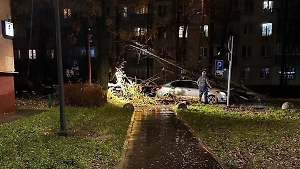 Минимум четыре человека пострадали в Москве в результате шторма