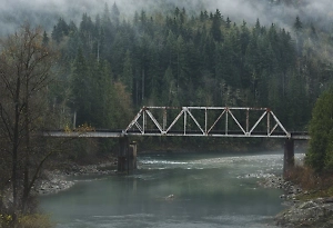 Тело подростка в шортах обнаружили в канаве рядом с отелем в Ленобласти