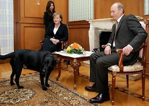 Меркель в мемуарах рассказала, как «оцепенела в страхе» перед лабрадором Путина