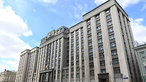 В Госдуме оценили будущее российских военных баз в Сирии после свержения Асада