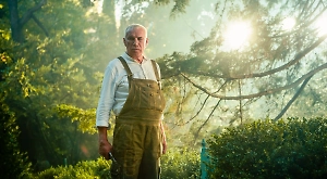 Съёмки блокбастера «Чебурашка 2» в Сочи: новые локации и знакомые герои