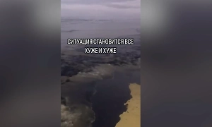 Очевидцы: Пляжи под Анапой покрыло сплошным чёрным слоем мазута