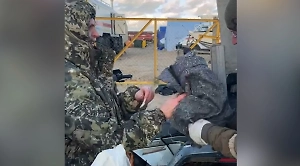 Волонтёры спасли дельфинов на утонувшем в мазуте побережье Анапы