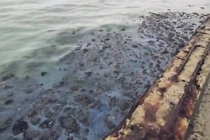 Губернатор Краснодарского края назвал срок очистки побережья от мазута