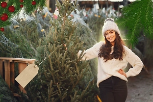 Обратить внимание на ствол или верхушку? Подробный гид Life.ru, как выбрать лучшую живую ёлку 