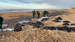 Обнаружена носовая часть затонувшего у берегов Керчи танкера «Волгонефть-239»